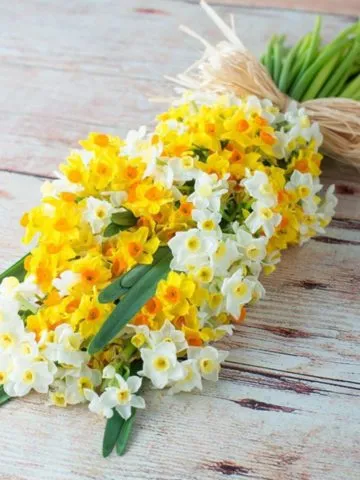 Bouquet Brightness