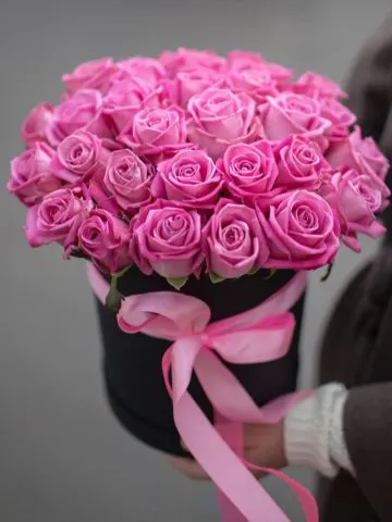 31 pink roses in a box