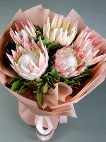 Bouquet Impulse