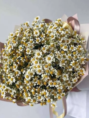 Bouquet of 51 daisies