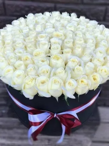 75 white roses in a box