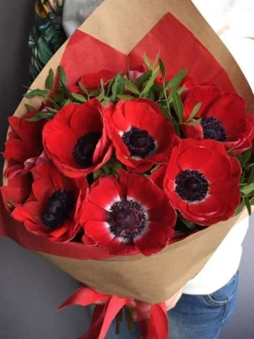 Red anemones