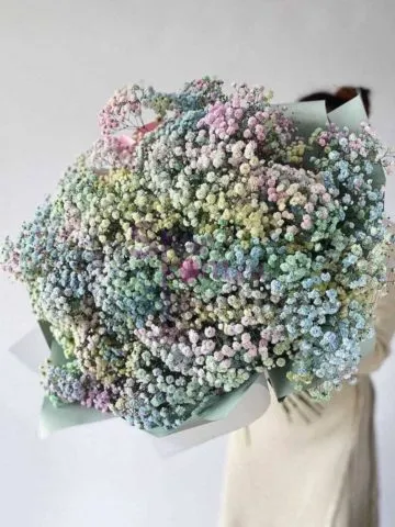 Bouquet of 35 multicolored gypsophiles
