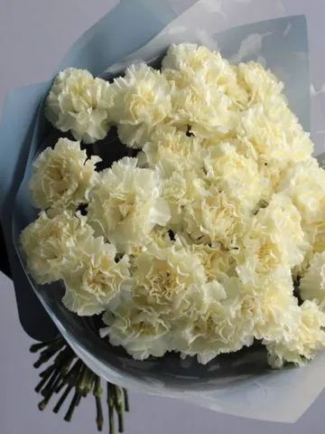 Bouquet Sleeping Beauty