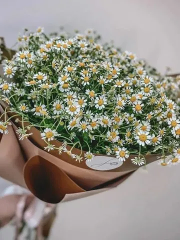 Bouquet My Element