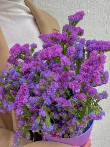 Bouquet My Fair Lady