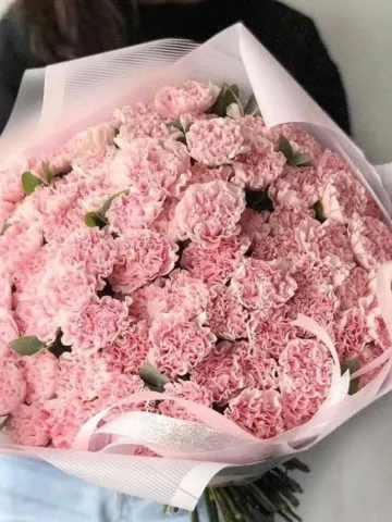 A bouquet of pink dianthus.