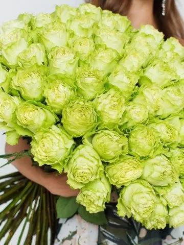 Bouquet A confused look