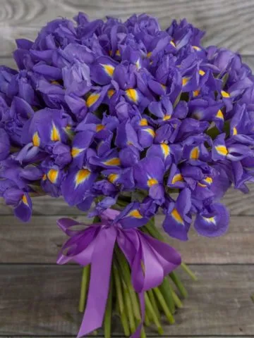 Bouquet A Separate World