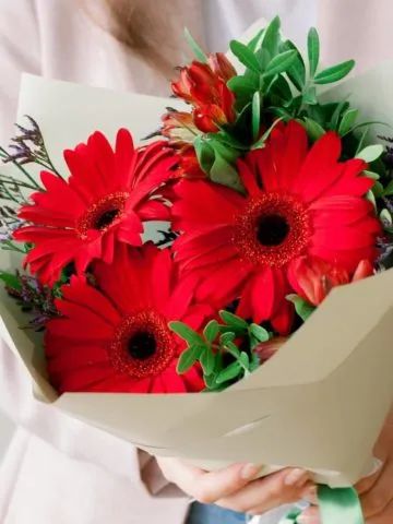 Bouquet of Red Gerberas