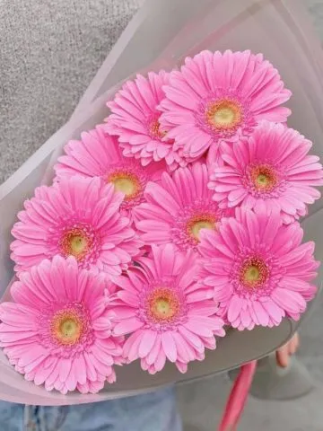 Bouquet of pink gerberas