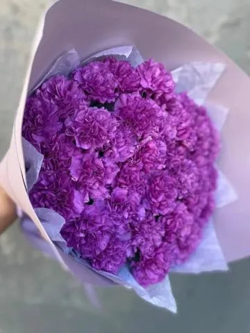 A bouquet of purple carnations