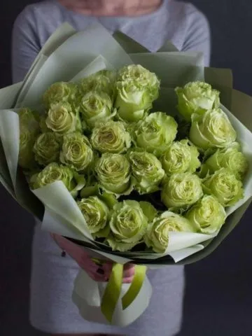 Pistachio roses