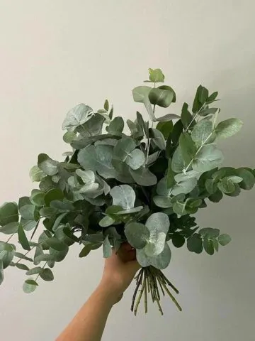 Laura's bouquet
