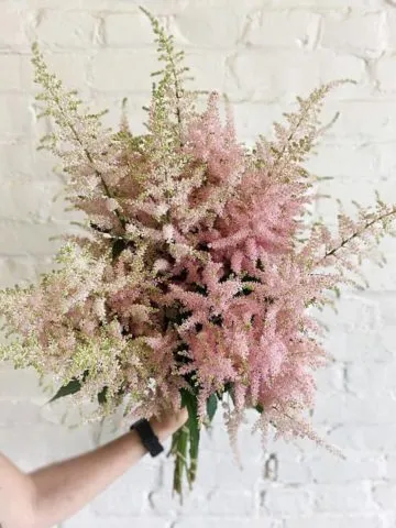 Judy's bouquet