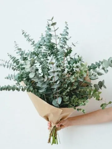 Bouquet Wild World