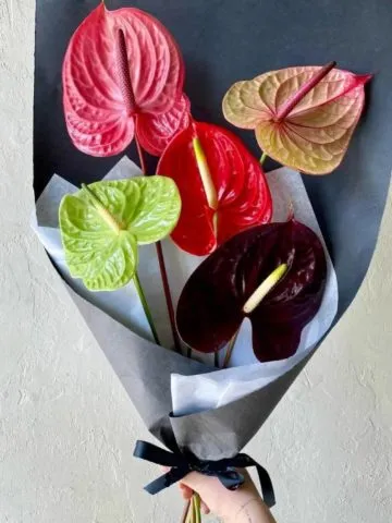 Bouquet Watercolor