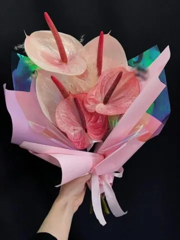 Matilda's bouquet