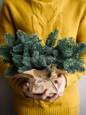 Bouquet Polar Express