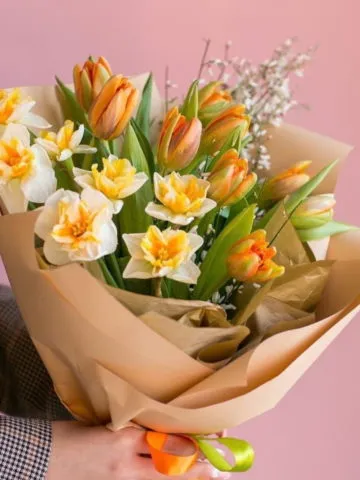 Bouquet of tulips and daffodils