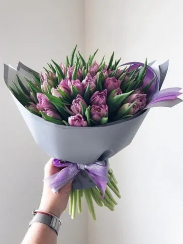 A bouquet of lilac tulips.