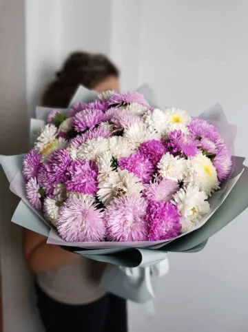 Bouquet of Genevieve asters