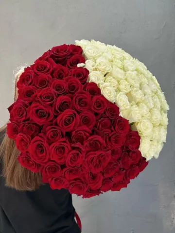 A bouquet of red and white roses