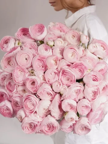 Bouquet of 51 Pink ranunculus.