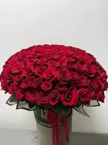 Bouquet of 151 roses