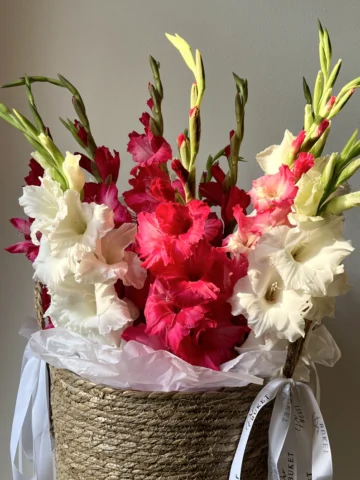 Composition of 13 gladioli