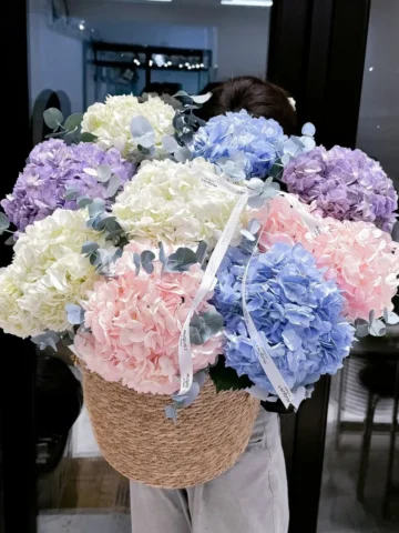 Котластағы секс үшін қыздар Пікірлермен қырғыз секс